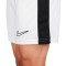 Kratke hlače Nike Dri-Fit Academy 23
