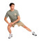 Majica Nike Fitnes