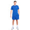 Kratke hlače Nike Club Flow
