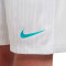 Kratke hlače Nike Djeca Academy Essentials
