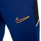 Duge hlače Nike Djeca akademija 25